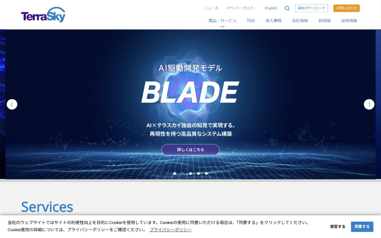 株式会社テラスカイ|業務プロセス再設計から支援